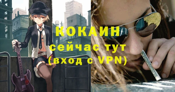 тгк Алзамай