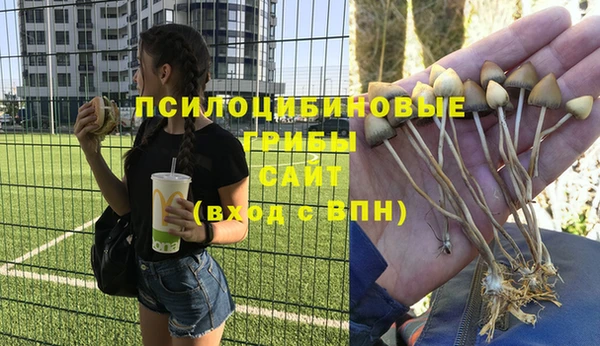 амфетамин Алексеевка
