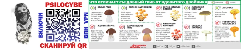 дарнет шоп Медынь Галлюциногенные грибы мицелий
